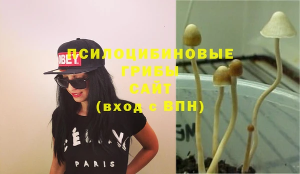 мяу мяу мука Михайловка